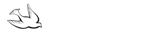 AVM Enterprises, Inc.