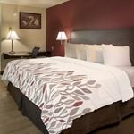 Red Roof Inn Enchanted Leaves Coverlet